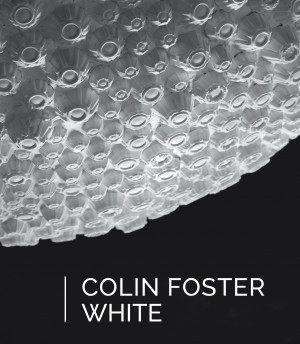 Colin Foster: White