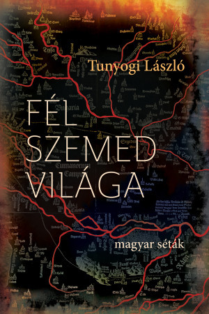 Fél szemed világa