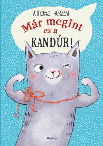 Már megint ez a kandúr!